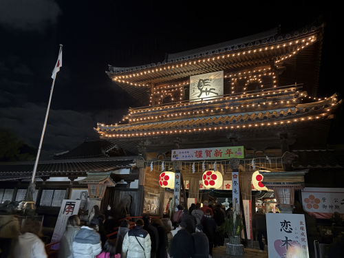 ���c�V���{�̍s��